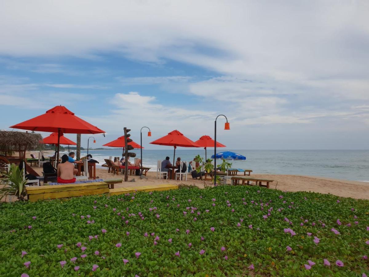 Blue Horizon Beach Hotel Tangalle Extérieur photo
